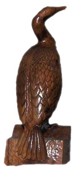 Kormoran